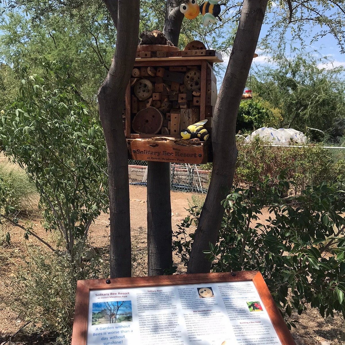 DESERT MEADOWS PARK (Green Valley) 2023 What to Know BEFORE You Go