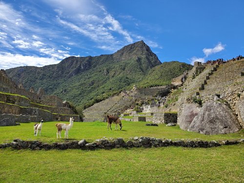 Cusco Region unpunctual review images