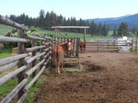 Historic Ninemile Remount Depot Visitor Center - All You Need to Know ...