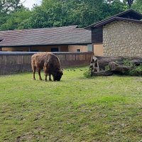 Zagreb Zoo - All You Need to Know BEFORE You Go (with Photos)