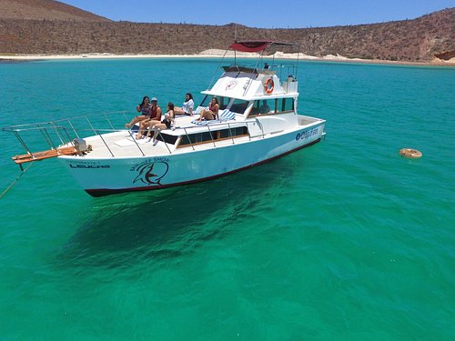 yachts for rent la paz mexico
