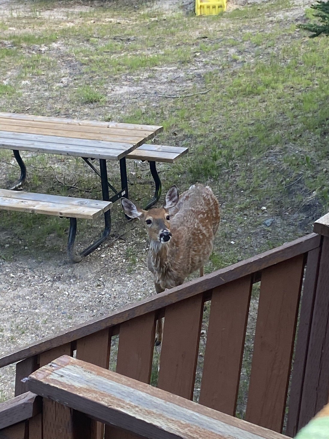 WEST HAWK LAKE RESORT - Campground Reviews (Manitoba)