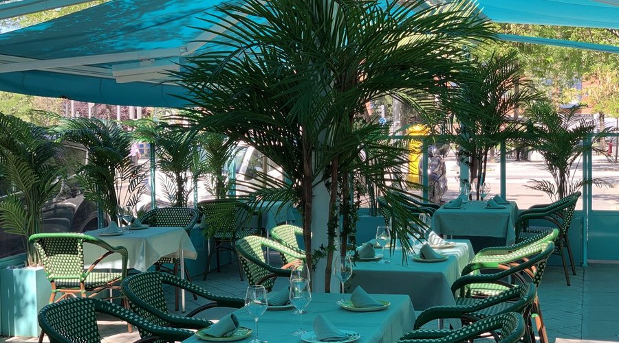 Disfruta de nuestra terraza a pocos metros de la Puerta Toledo.