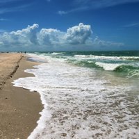 Tarpon Bay Beach (Sanibel Island) - All You Need to Know BEFORE You Go