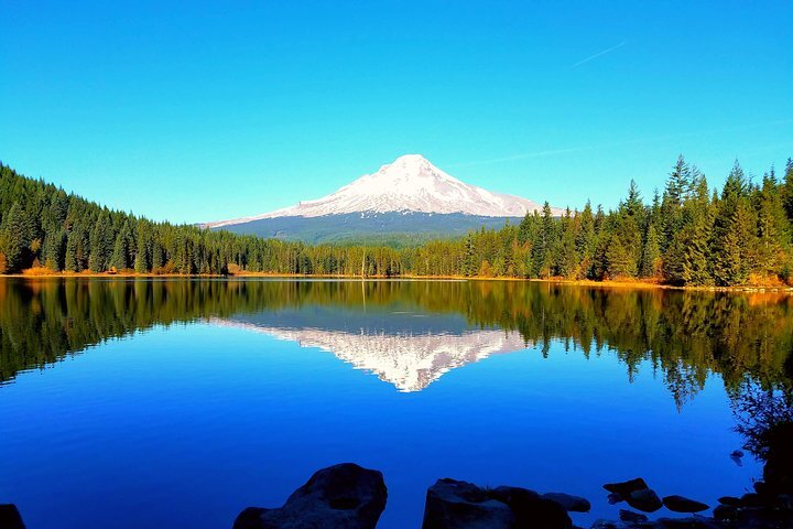 THE BEST Day Trips from Portland to Hood River UPDATED 2024