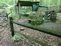 Dogs - Catoctin Mountain Park - GoodDogTrips