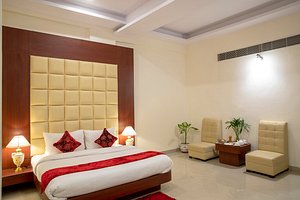 Red K Velvet Hotel in Ghaziabad, image may contain: Interior Design, Plant, Furniture, Home Decor