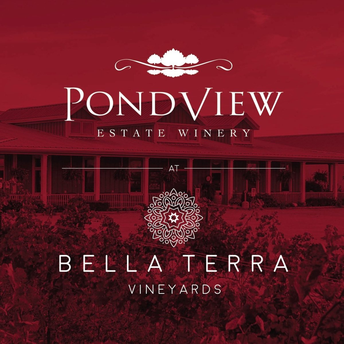 Pondview at Bella Terra Vineyards (NiagaraontheLake) All You Need