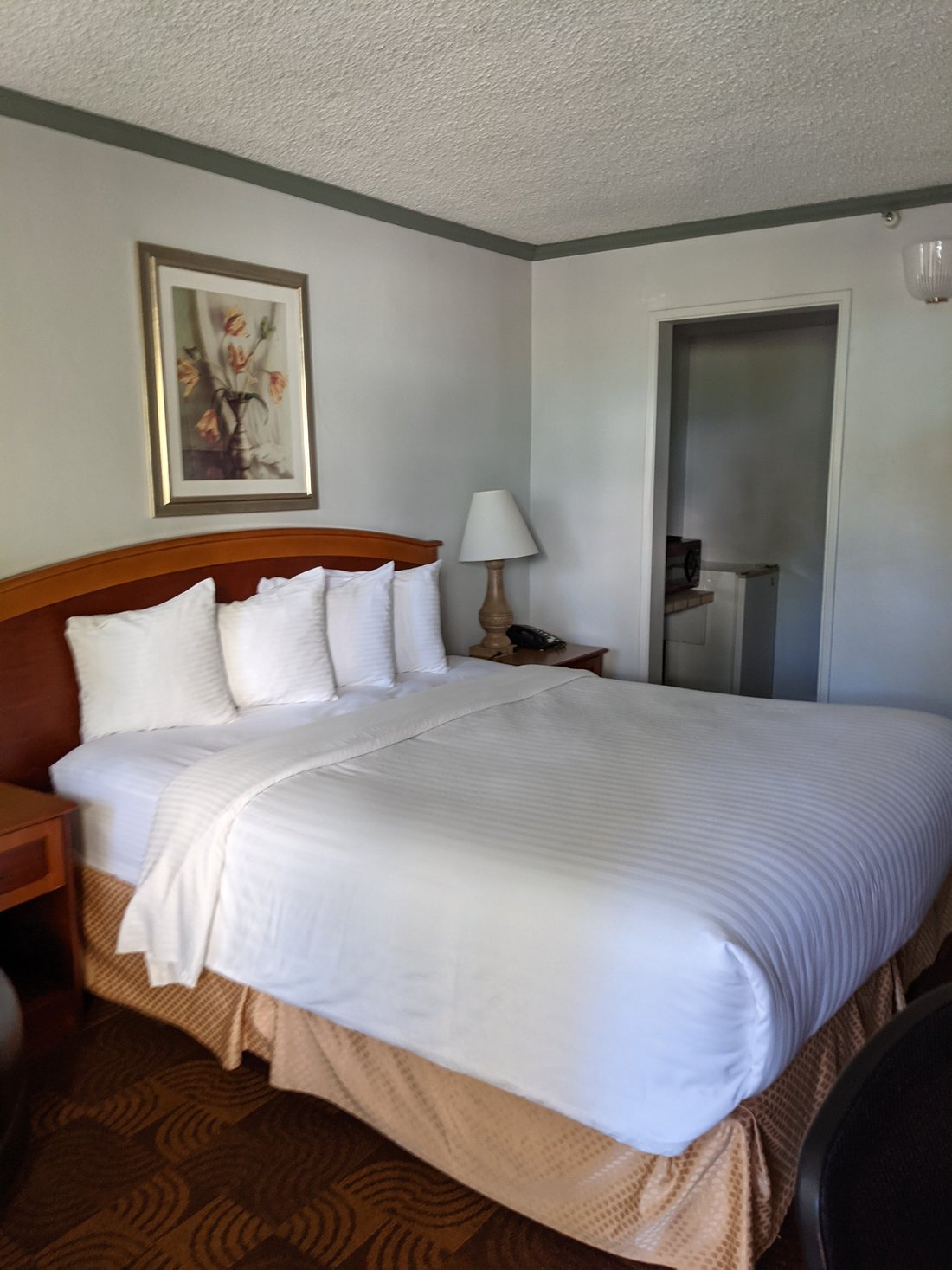 HOTEL BUENA VISTA - Updated 2024 Prices & Reviews - San Luis Obispo, CA