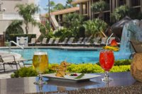 Hotel photo 16 of DoubleTree by Hilton Hotel Orlando at SeaWorld.