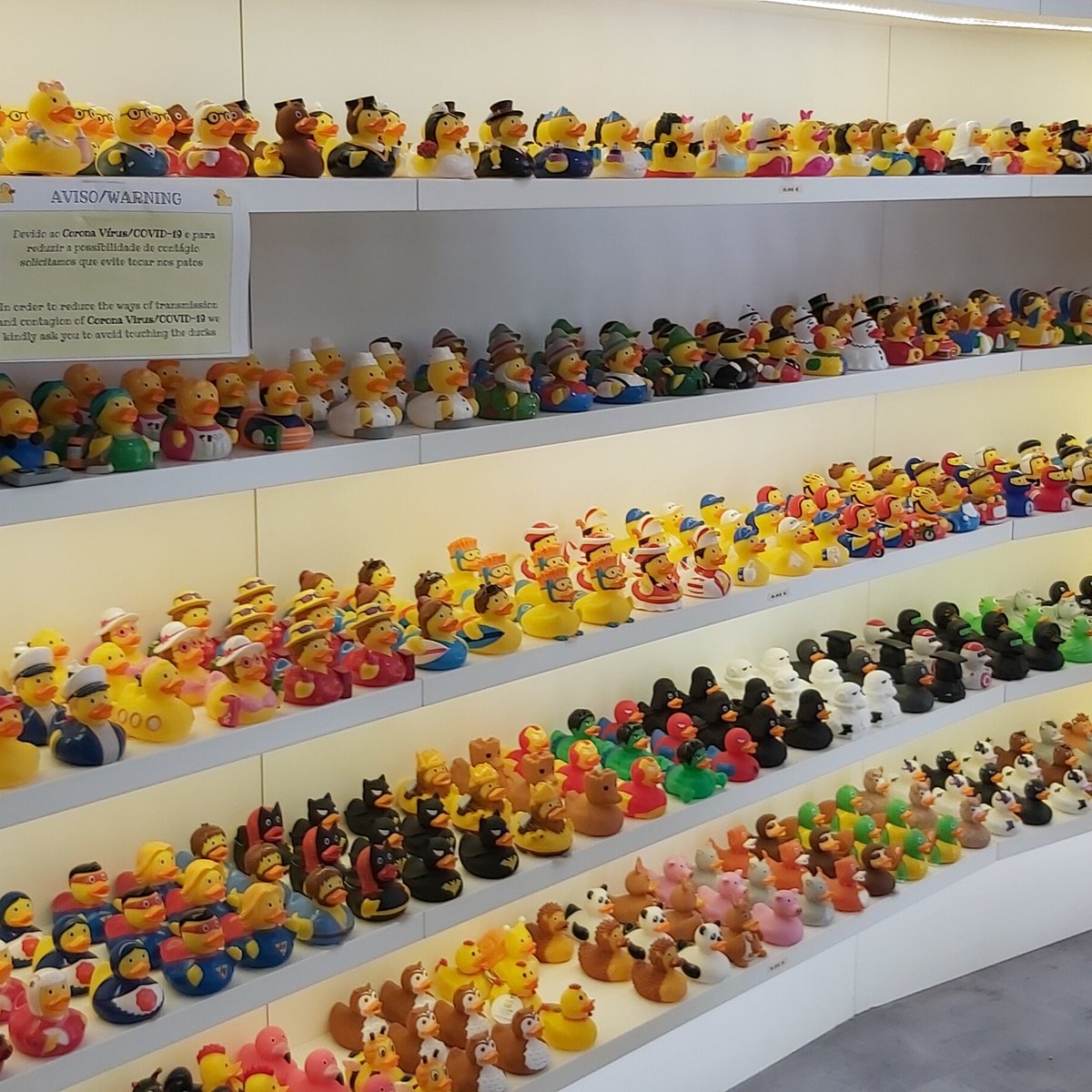 Madeira Duck Store (Funchal) - All You Need to Know BEFORE You Go