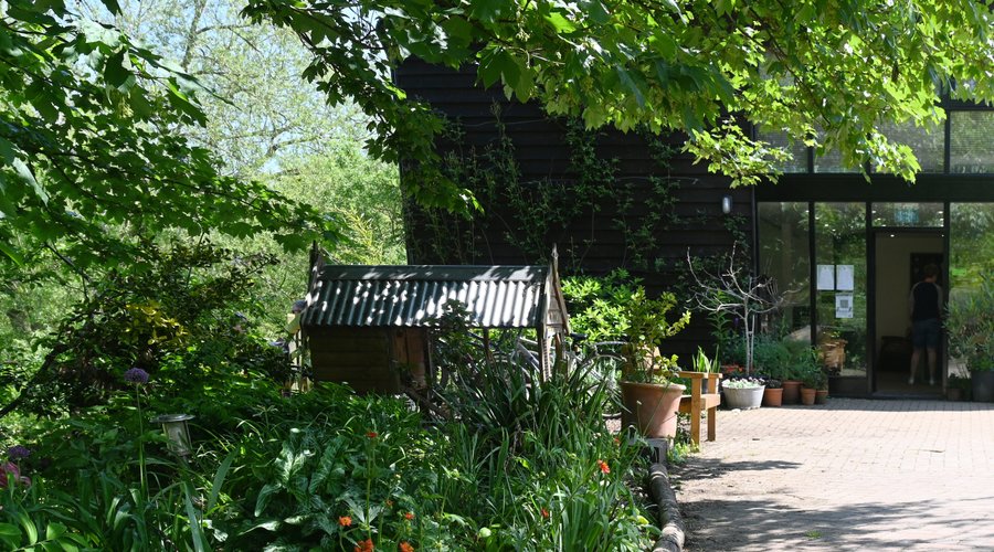 Willow Trees Cafe, Wheathampstead - 레스토랑 리뷰 - 트립어드바이저