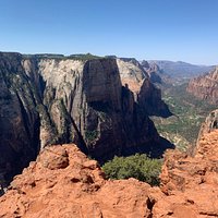 Observation Point (Zion National Park) - All You Need to Know BEFORE You Go