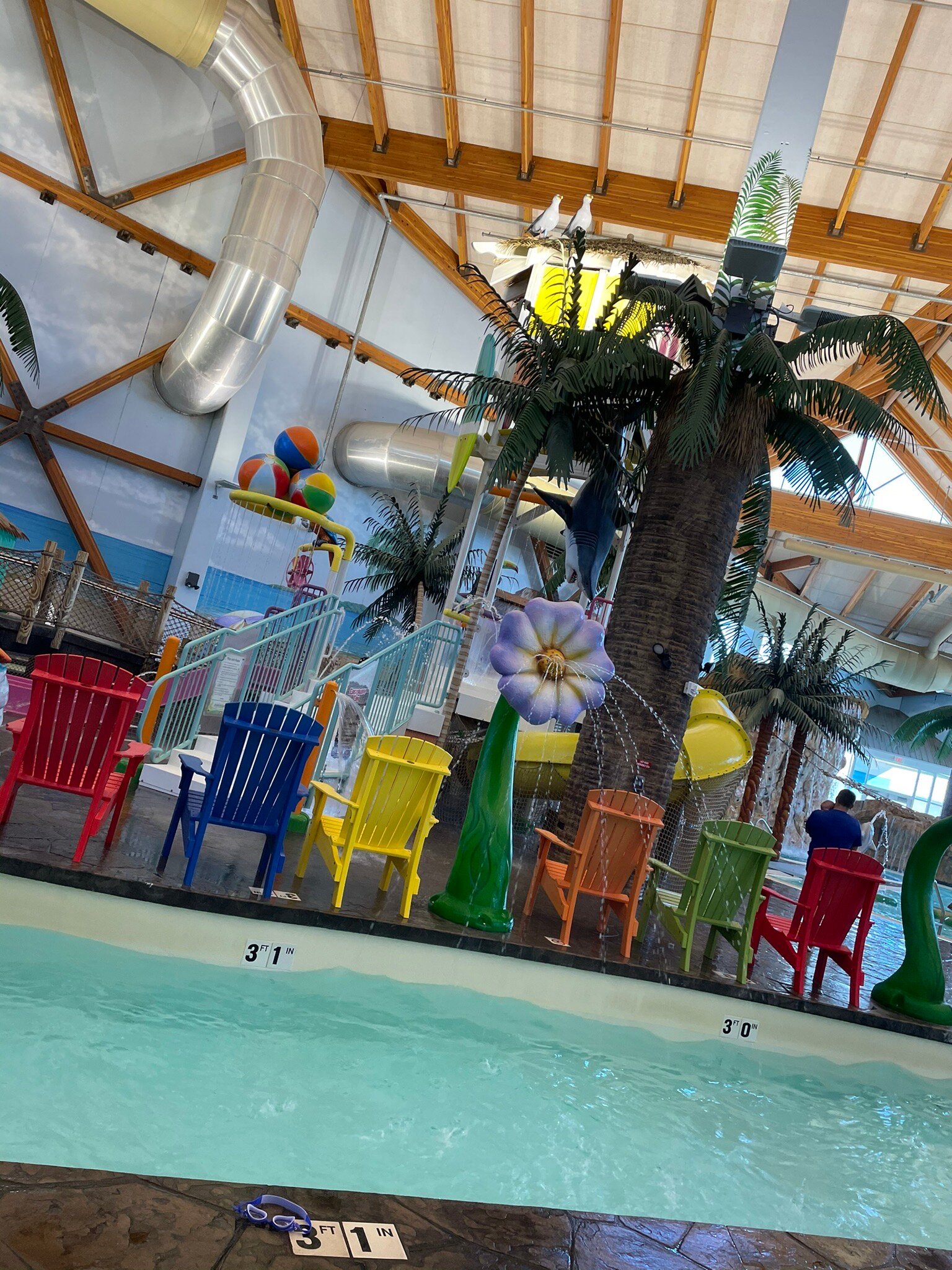 Parrots cove outlet