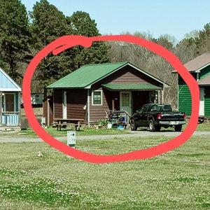 The lady living here let her dog poop wherever it was, other people's sites, middle of the road, wherever.