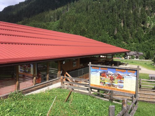 Cavalos Loiros Sorrir Prado Siusi Alpes Trentino Alto Adige Itália