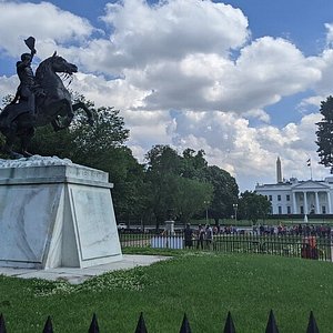 are dogs allowed in lafayette square