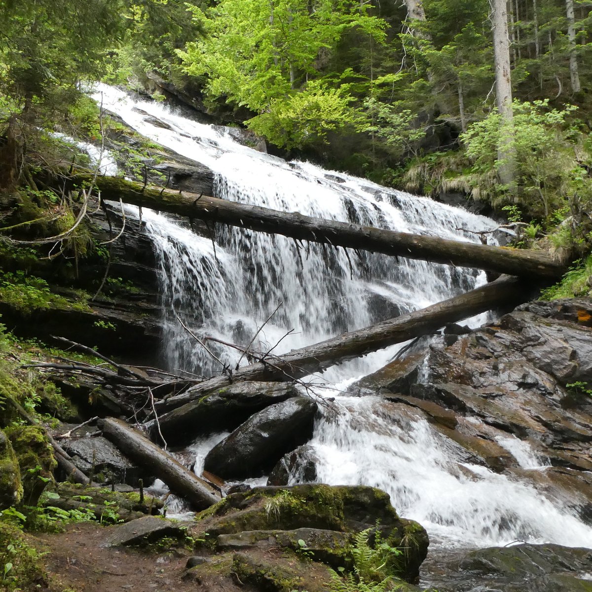 WASSERFALL DER WEISSEN SULM IN WIELFRESEN (Wies) - All You Need to Know ...