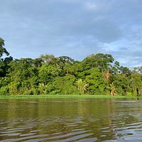 Tortuguero National Park - All You Need to Know BEFORE You Go