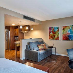 Studio Apartment Suite - Living Area