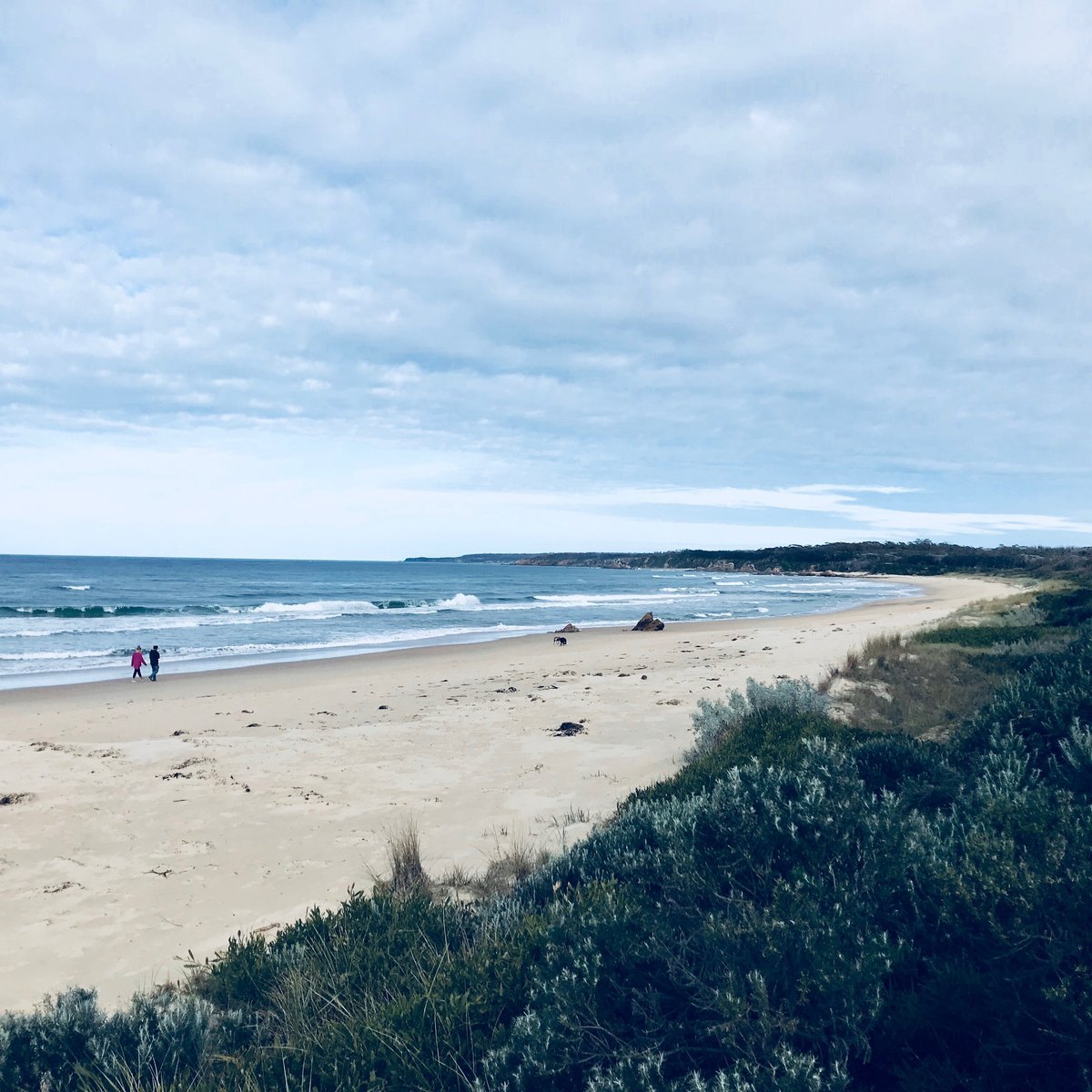 Davis Creek Beach (Mallacoota): All You Need to Know