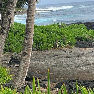 Guide to Hilo (Big Island): Beaches, Favorite Activities + Day Trips