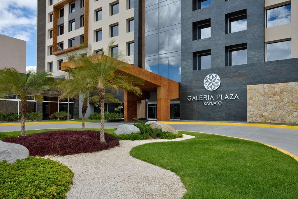 Hotel photo 16 of Galeria Plaza.
