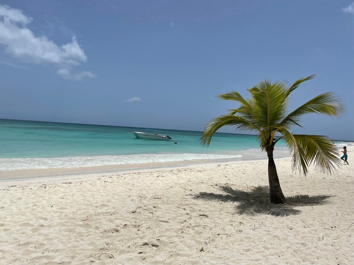 Erica Espo tours (Punta Cana) - All You Need to Know BEFORE You Go