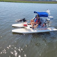 2024 (Amelia Island) CraigCat Boat Tour from Fernandina Beach