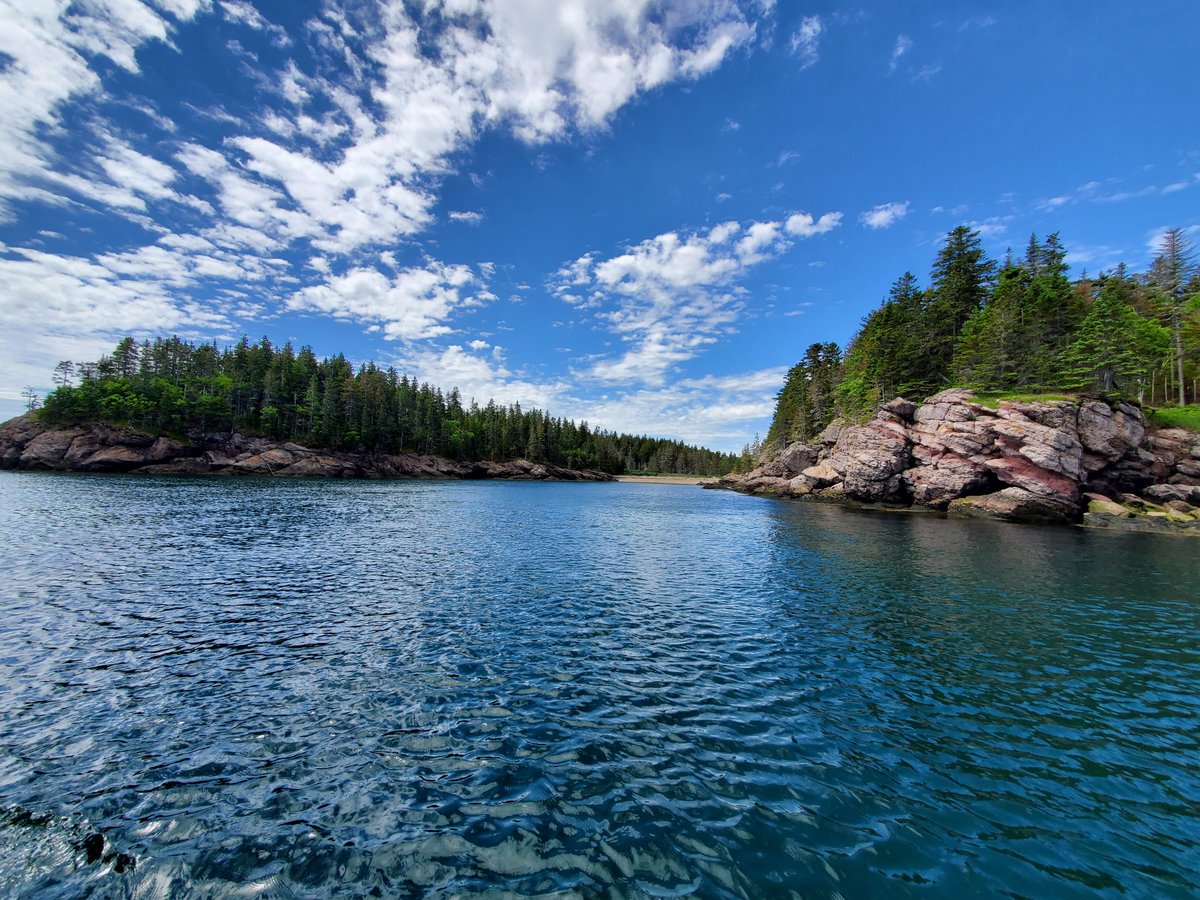 DOWNEAST CHARTER BOAT TOURS (Lubec) Ce qu'il faut savoir