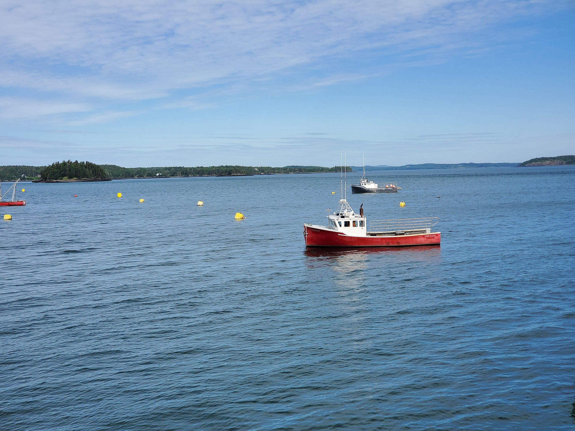 downeast-charter-boat-tours-lubec-all-you-need-to-know-before-you-go