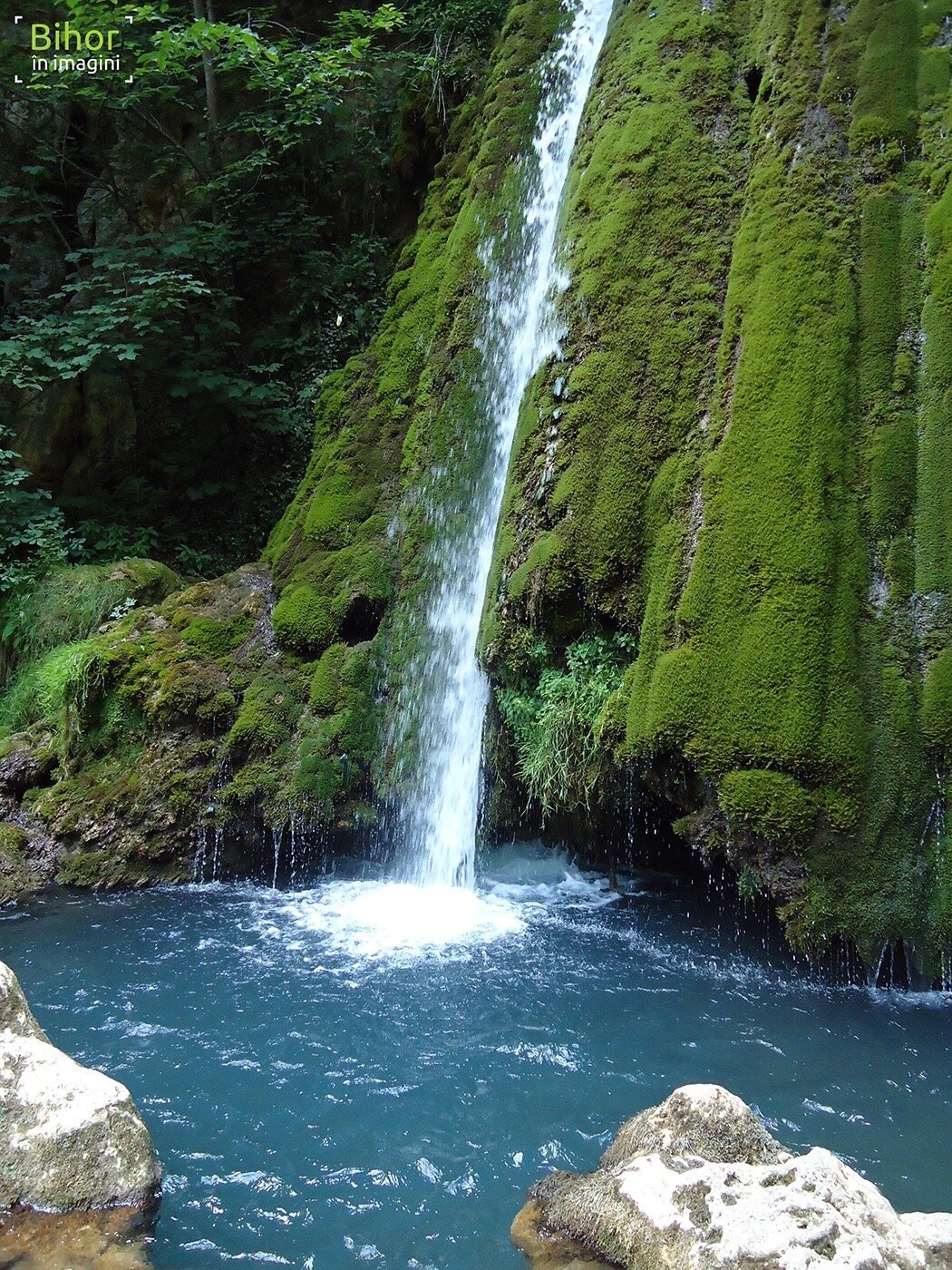 Vadu Crisului Waterfall: All You Need to Know BEFORE You Go