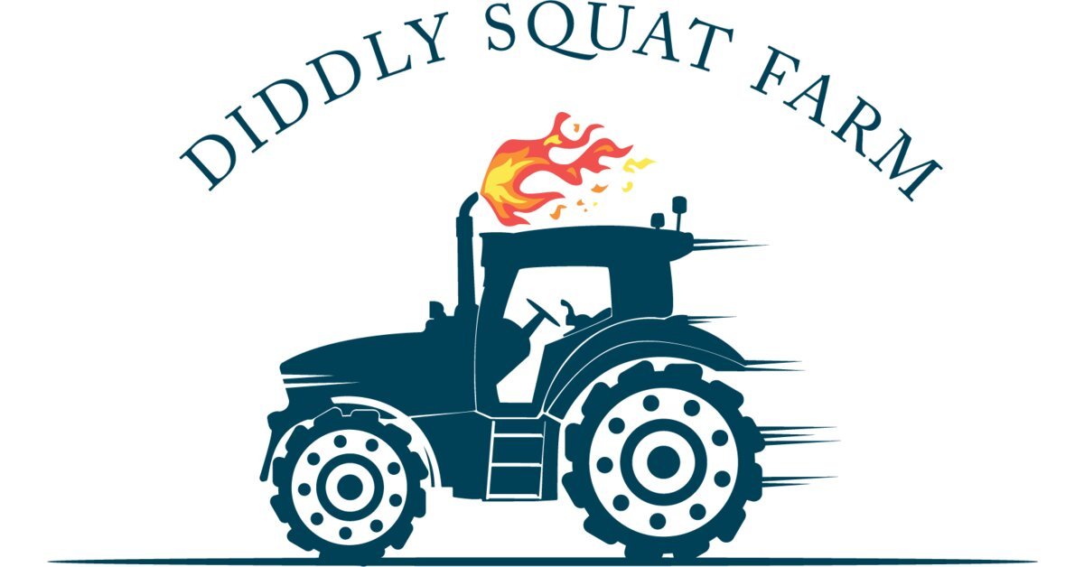 diddly-squat-farm-shop