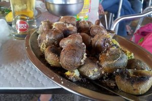 Comida