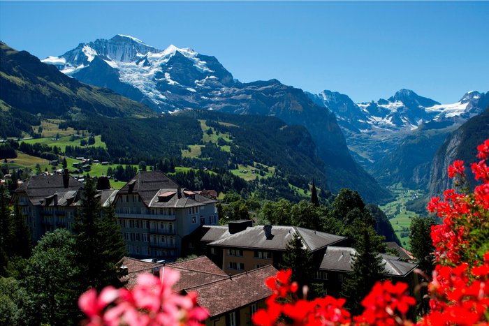 Grand Hotel Belvedere Wengen Rooms: Pictures & Reviews - Tripadvisor