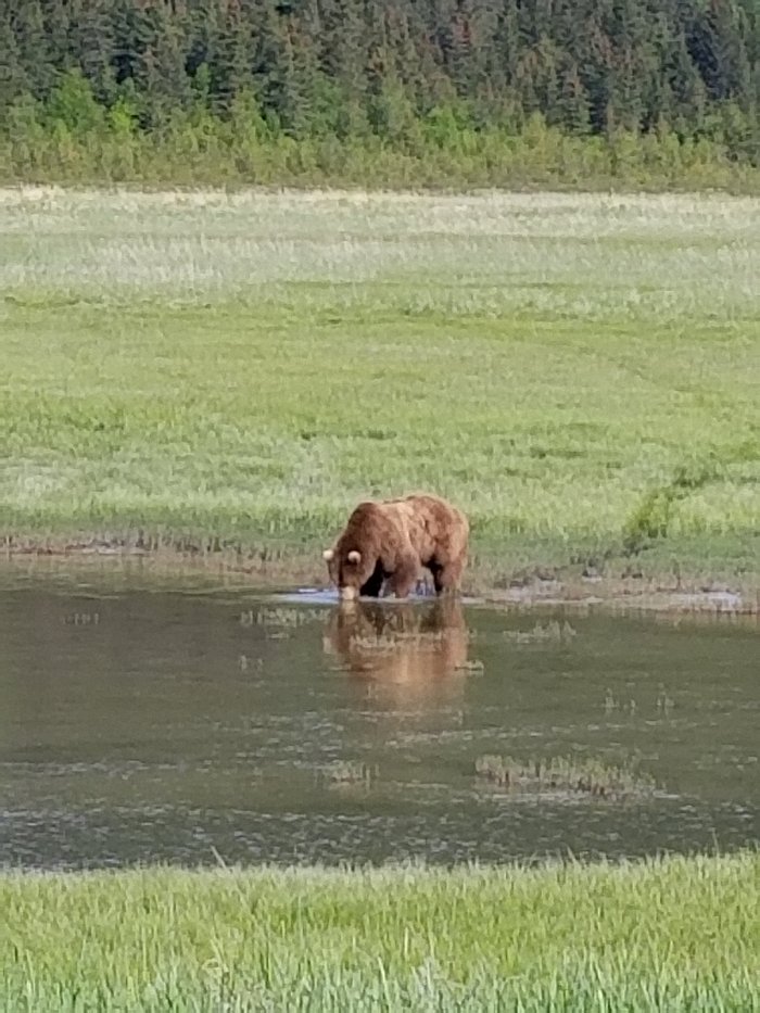 BEAR MOUNTAIN LODGE - Reviews (Alaska/Lake Clark National Park and