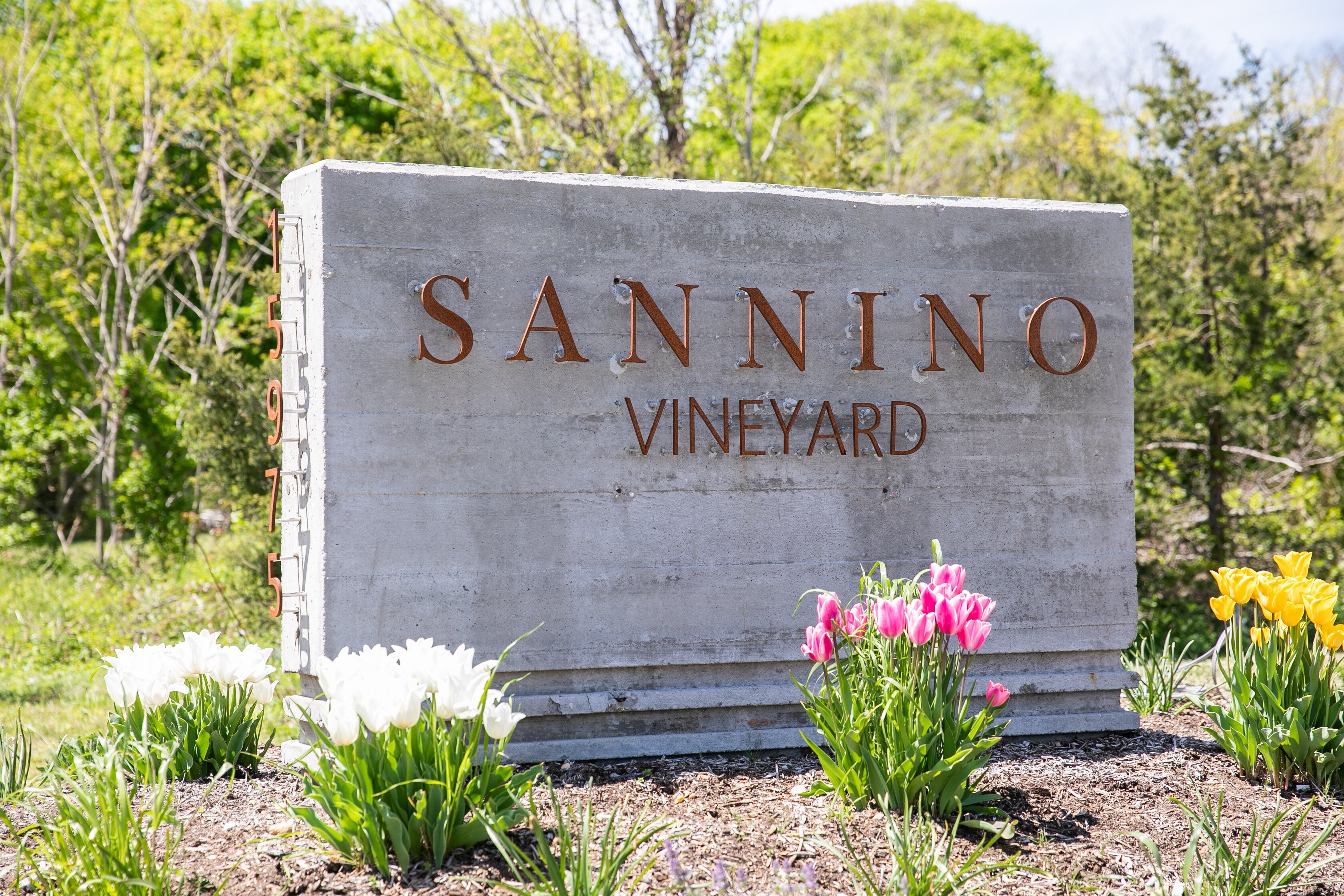 Sannino Vineyard - All You Need To Know BEFORE You Go (2024)