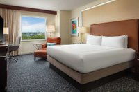 Hotel photo 15 of Hilton Orlando.