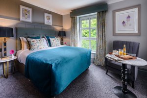 Room & Suite