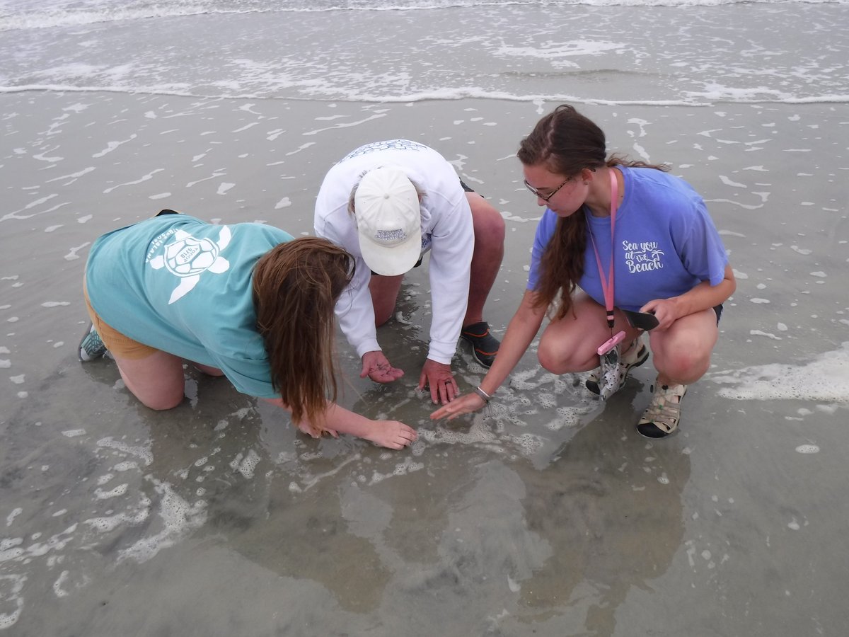 Tybee Beach Ecology Trips (Tybee Island) - All You Need to Know BEFORE ...