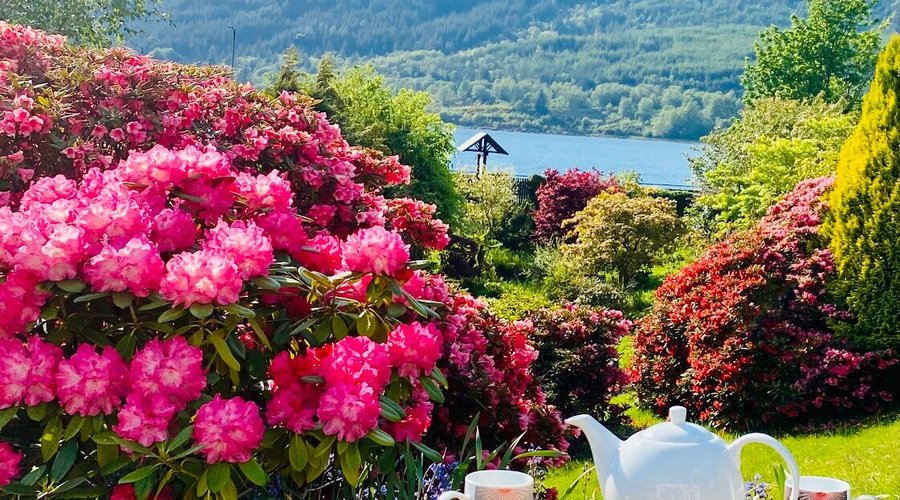 Fascadail’s front garden!