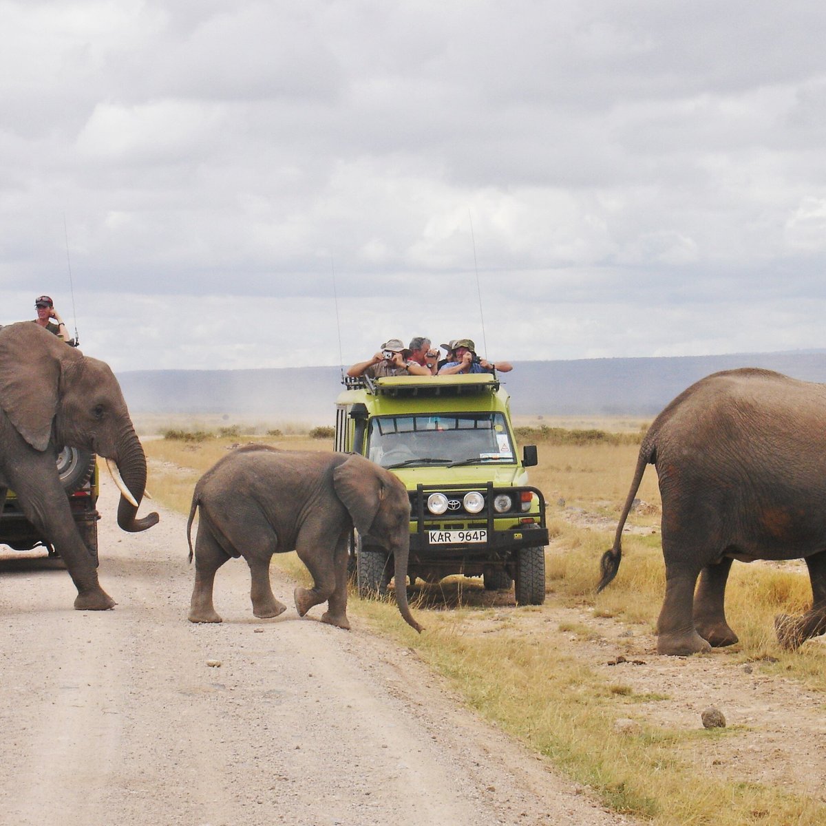 Milana Tours and Safaris - All You Need to Know BEFORE You Go (2024)