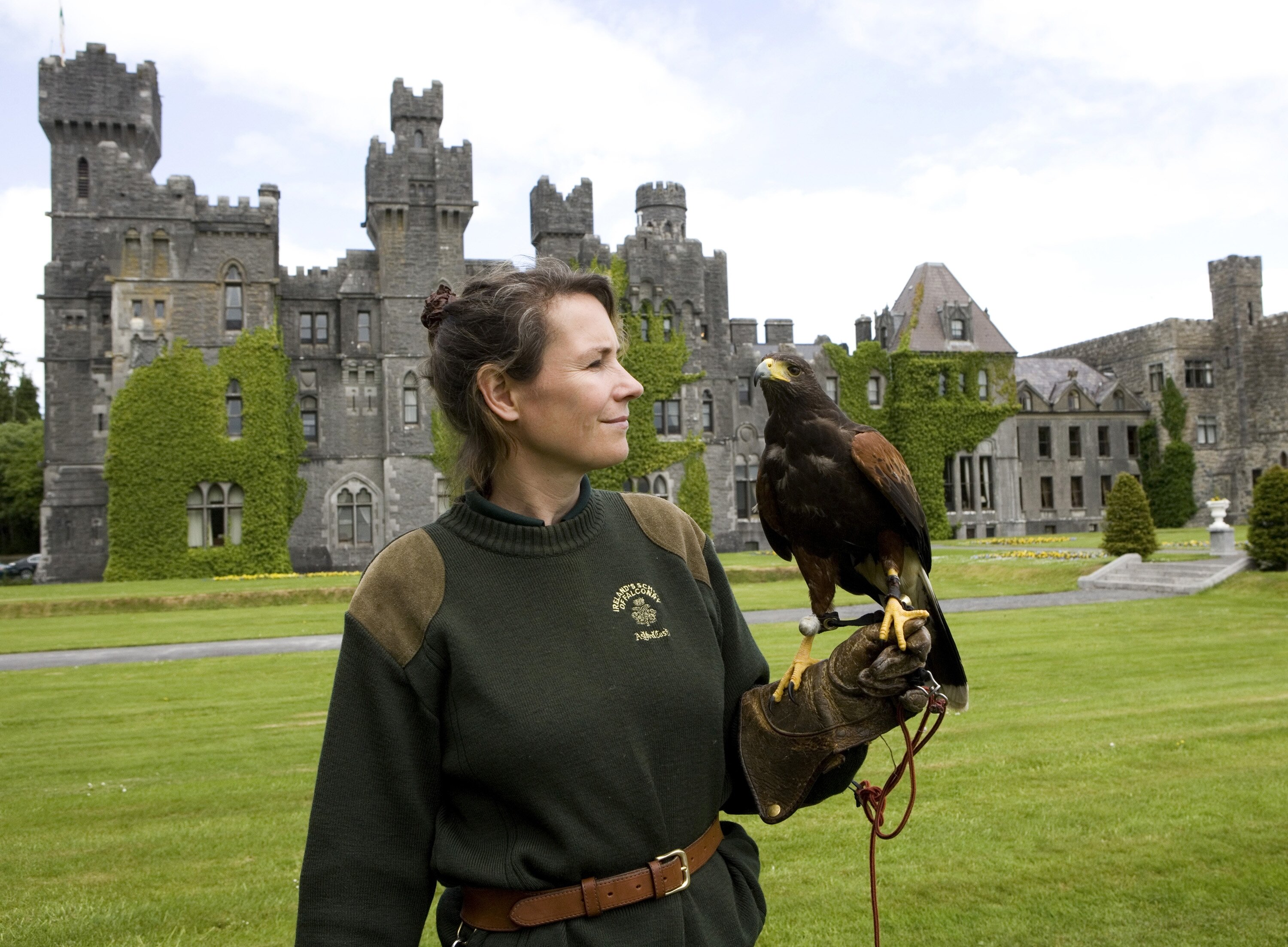 THE 15 BEST Things To Do In County Mayo 2024   Falconry 