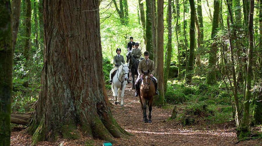 Horse riding