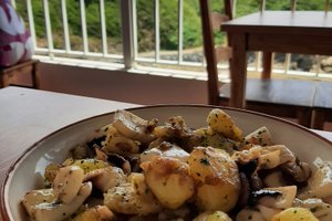 Comida