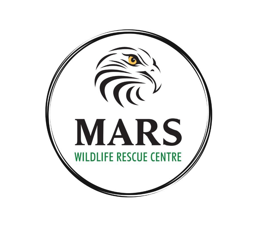 MARS Wildlife Rescue Centre (Merville) - All You Need to Know BEFORE You Go