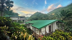 Casa Grande Mountain Retreat in Puerto Rico, image may contain: Hotel, Resort, Rainforest, Vegetation