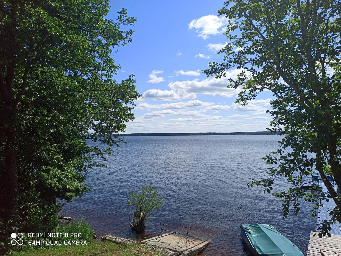 Обман и насмешка - отзыв о Green Gold Park, Селище, Россия - Tripadvisor