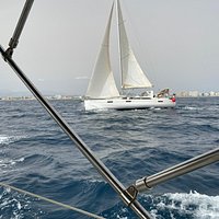palma