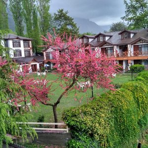 Summer pic of Fortune Resort Heevan, Srinagar. Photo taken last year one of our premium guest. 